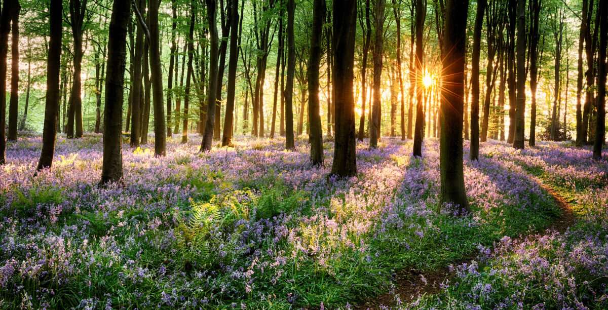 Providing Soul Space