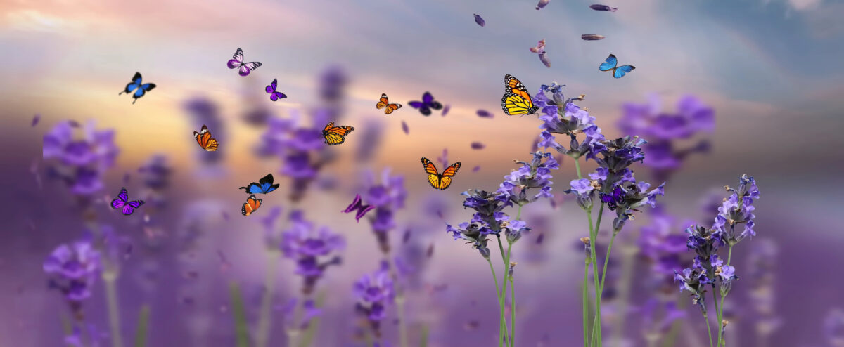 Providing Soul Space
